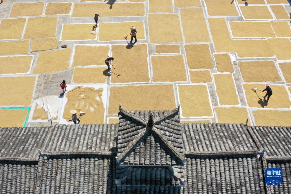 巴黎人赌场介绍